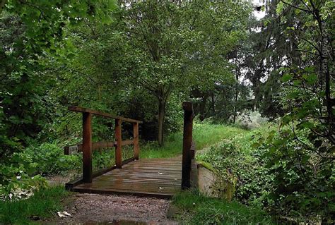 creek bridge by sonafoitova on DeviantArt