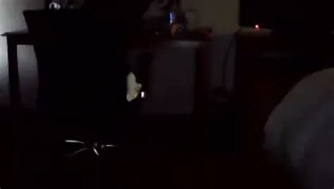 Free Amateur Shemale Porn Videos Xhamster