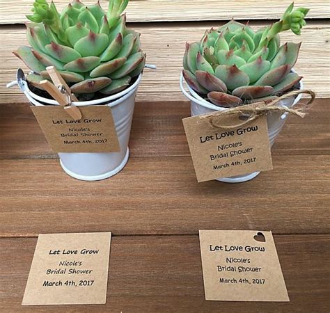 12 Succulent Wedding Favors Spring Wedding Etsy In 2021 Succulent