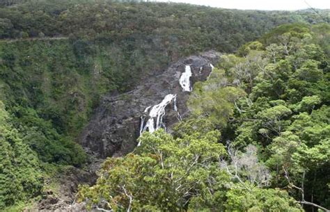 Skyrail Rainforest Cableway in Cairns: 3 reviews and 18 photos