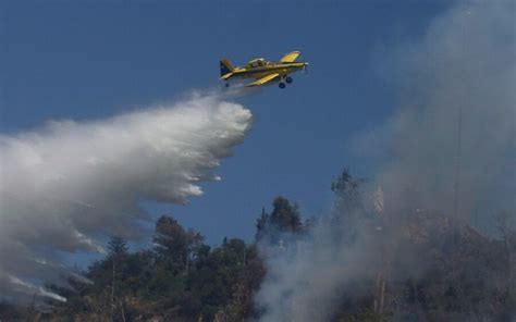 Conaf Confirma Que Intencionalidad En Incendios En Biob O Y La