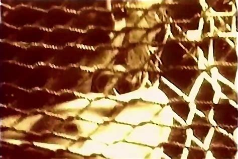Madonna Sex Book Film