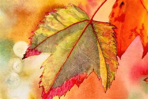 Painting Vibrant Fall Leaves with Watercolor! – Urbaki Art