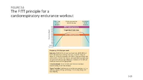 Cardiorespiratory Endurance Cardiorespiratory Endurance Basic