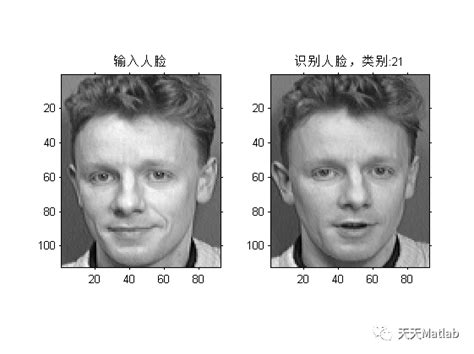 【人脸识别】基于pca实现orl人脸识别附matlab代码和报告 阿里云开发者社区