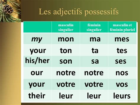 Les Adjectifs Possessifs French Beginner 1 Magali Blanc Fall 2021 Mondays