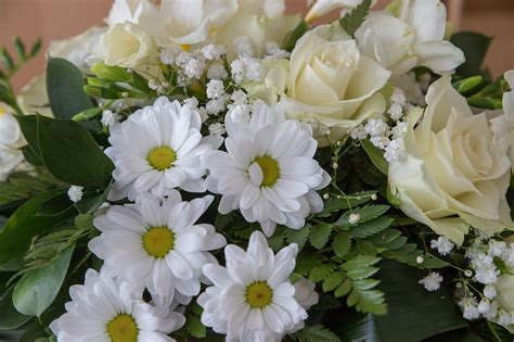 400,000+ Free Funeral Flowers & Funeral Images - Pixabay