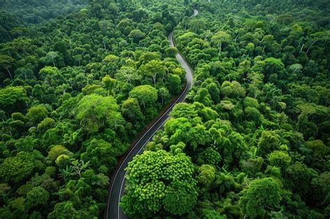 Premium Photo | Aerial view of Borneo jungle in Sabah Malaysia