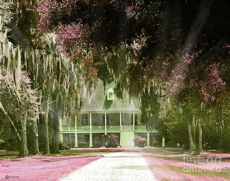 Parlange Plantation Circa 1750 New Roads La Digital Art By Lizi Beard