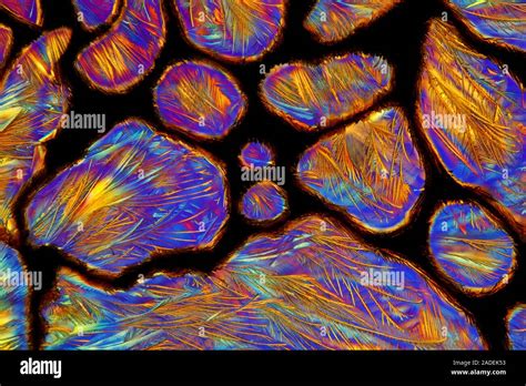 Vitamin C Crystals Polarized Light Micrograph Of Crystals Of Vitamin C