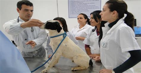 Entrevista especial para o mês do Médico Veterinário a Professora