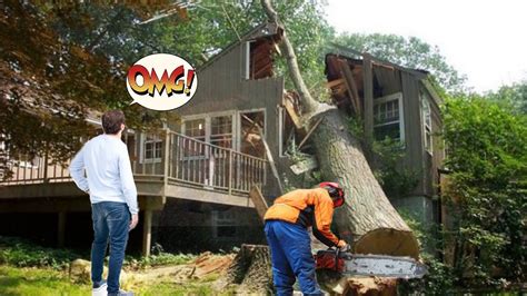 Dangerous Idiots Tree Cutting Fails With Chainsaw Working Dangerous