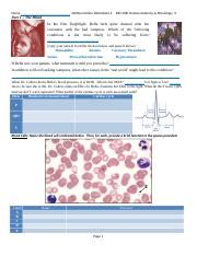 Biol B Written Online Worksheet Docx Name Written Online