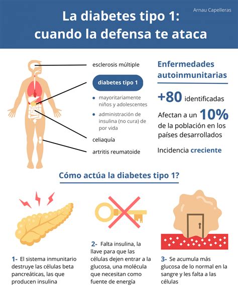 La Diabetes Tipo 1 Cuando La Defensa Te Ataca Comunica Ciencia