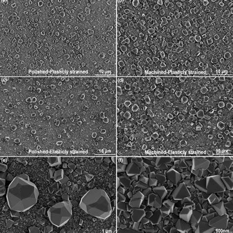 SE images of the oxide formed in different locations on the sample: (a ...