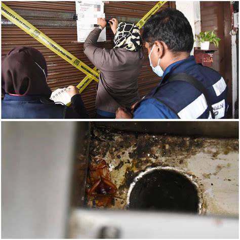 Lipas Dan Najis Tikus Tiga Premis Di Georgetown Diarah Tutup