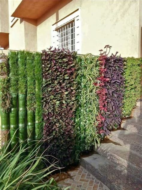 40 Brilliant plastic bottle garden ideas