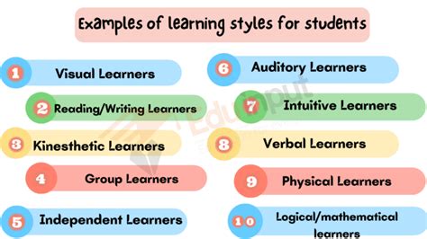 14 Examples of learning styles for students