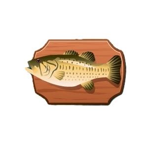 Fish World Photo Gallery | Maritime Theme | Singing Fish