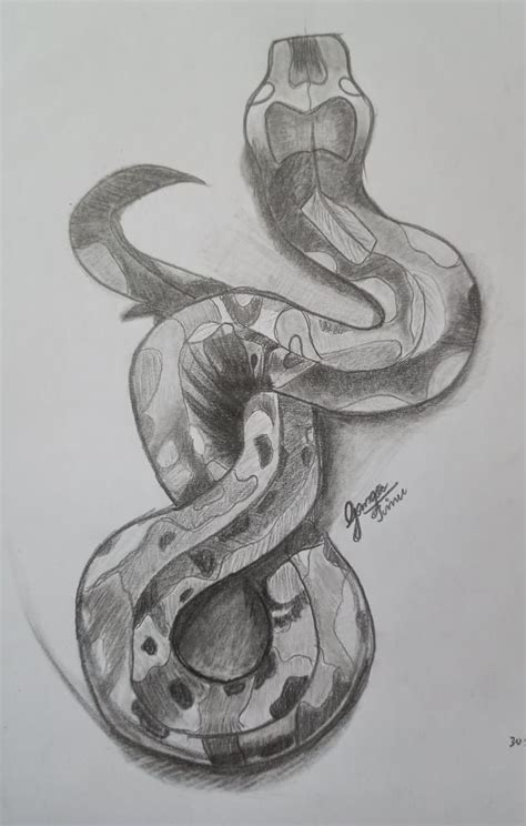 Snake pencil sketch | Snake drawing, Easy drawings, Drawings