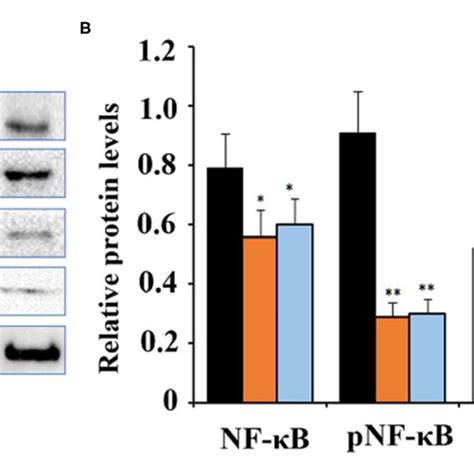 Cinnamaldehyde Supplementation Inhibits The Activation Of Nf B In