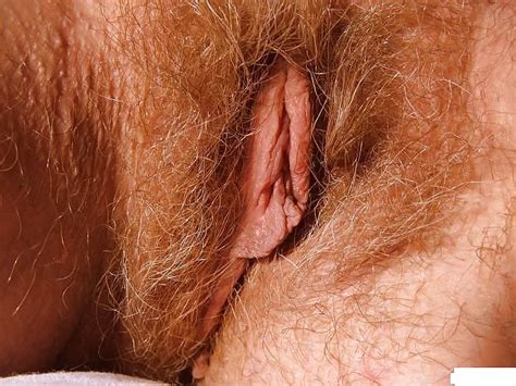 My Hairy Pussy Porn Pictures XXX Photos Sex Images PICTOA