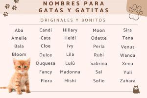 Nombres Mexicanos Para Gatos