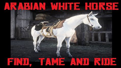 RDR2 - RARE WHITE ARABIAN HORSE LOCATION | FINDING, TAMING AND RIDING ...