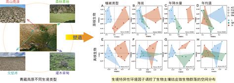 水生所与西藏大学研究揭示生境特异性调控青藏高原生物土壤结皮微生物群落的空间变异 生物通