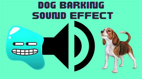 Dog Barking Sound Effect - YouTube