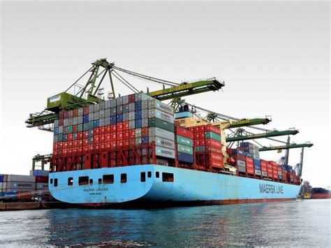 Maersk Y Msc Planean Acuerdos Rec Procos De Fletamento De Espacios Para