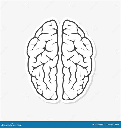 Silhouette Of The Brain On A White Background Stock Vector