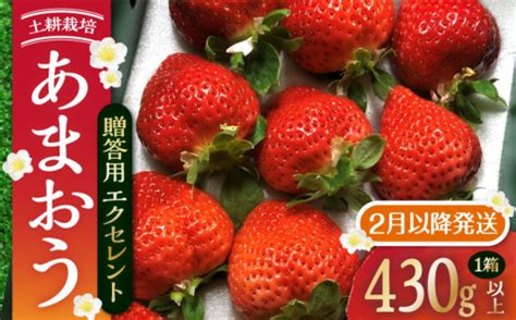 【2月以降発送】 あまおう 贈答用 エクセレント 430g以上×1箱 《豊前市》【内藤農園】果物 いちご Vab010 福岡県豊前市