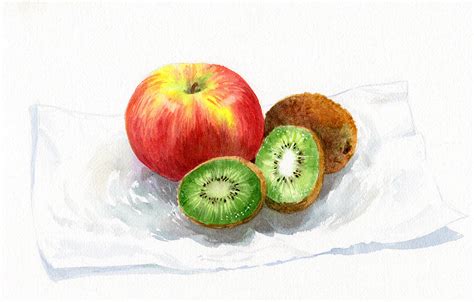 Fruit Watercolor Painting At Paintingvalley Explore Collection Of