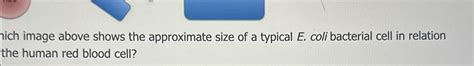 Solved hich image above shows the approximate size of a | Chegg.com