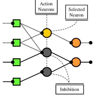 A Sparsely Connected Artificial Neural Network Neurons Only Connect To