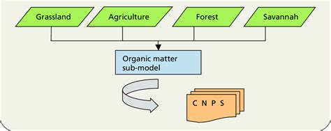 compartments   century model  scientific diagram