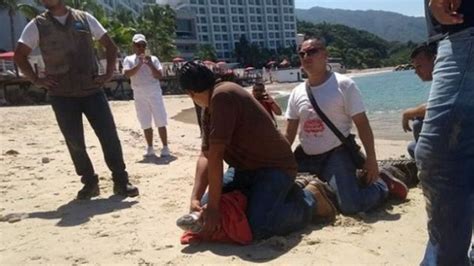 Capturan Un Cocodrilo En Playa De Puerto Vallarta La Silla Rota