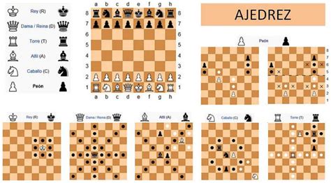¿sabías Que El Ajedrez Reglas • Todo Calidad