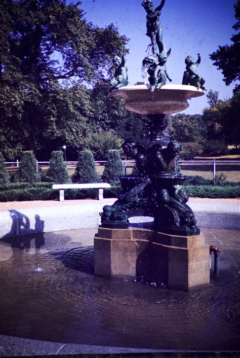 Lake Harriet Rose Garden – David Tewes, Shutterbug