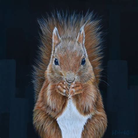 Red Squirrel Painting by Lucy Blackstone | Saatchi Art