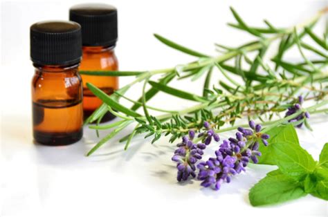 How To Distill Essential Oils — hBARSCI