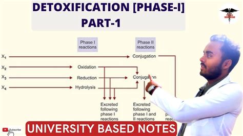 Detoxification Part 1 Phase I Detoxification YouTube