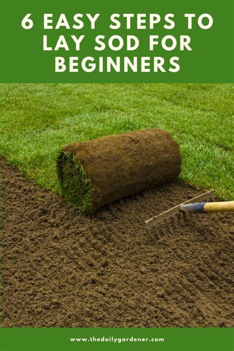 Easy Steps To Lay Sod For Beginners