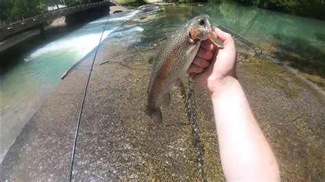 Fishing For Rainbow Trout At Montauk Missouri State Park YouTube