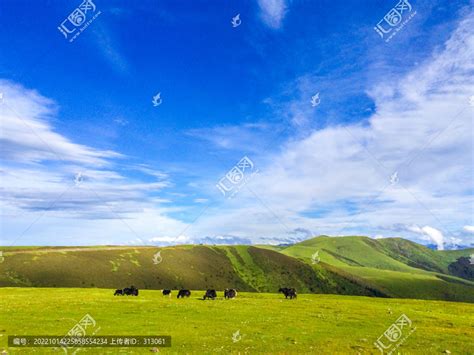 草原牦牛高山丘壑自然风景摄影素材汇图网