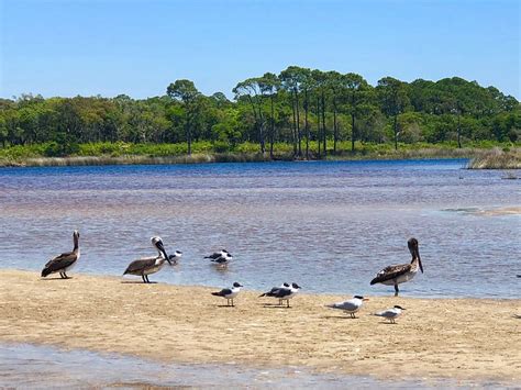 Inlet Beach 2022: Best of Inlet Beach, FL Tourism - Tripadvisor