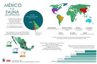 M Xico Y La Fauna En Extinci N Ppt Descarga Gratuita