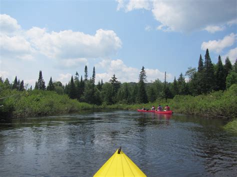 Boston Kayaker Kayaking On Moose River Middle Branch From Old Forge To Thendara Ny