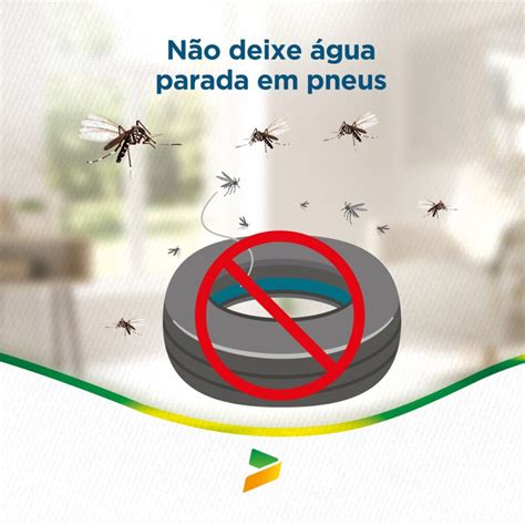 Saiba Como Evitar A ProliferaÇÃo Do Mosquito Aedes Aegypti E As DoenÇas